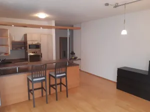 Pronájem bytu 4+kk, Praha - Jinonice, Za zámečkem, 124 m2
