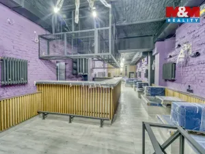 Prodej obchodního prostoru, Karlovy Vary, Foersterova, 952 m2