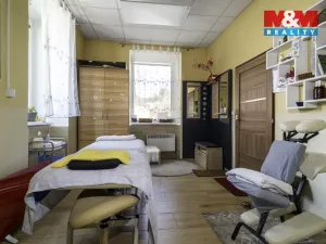 Prodej obchodního prostoru, Hlinsko, O. Nejedlého, 380 m2