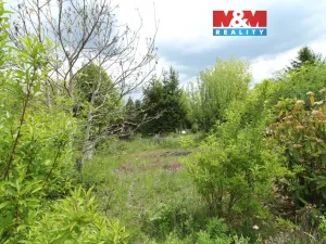 Pronájem zahrady, Přezletice, 10478 m2