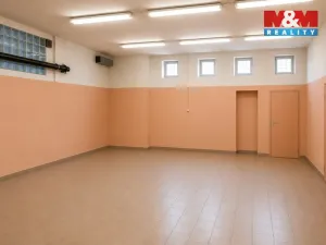 Pronájem obchodního prostoru, Červené Janovice, 360 m2