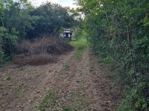 Prodej chaty, Libčice nad Vltavou, 28 m2
