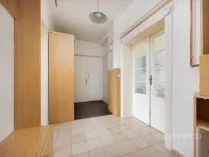 Prodej bytu 3+1, Dvůr Králové nad Labem, Čechova, 141 m2