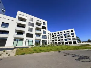 Prodej ostatní, Brno - Černá Pole, třída Generála Píky
