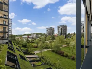 Prodej bytu 2+kk, Praha - Žižkov, Pitterova, 55 m2