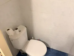 Pronájem obchodního prostoru, Děčín, Prokopa Holého, 99 m2