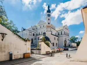 Prodej komerčního pozemku, Pardubice, Přerovská, 4073 m2