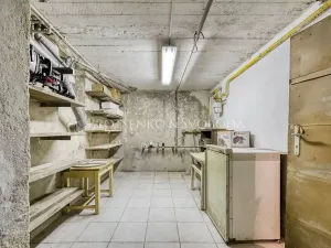 Prodej rodinného domu, Kralupy nad Vltavou, Lidická, 180 m2