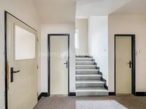 Prodej rodinného domu, Písek, Holečkova, 308 m2