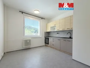 Pronájem bytu 1+1, Ústí nad Orlicí - Hylváty, Třebovská, 35 m2