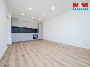 Prodej bytu 2+kk, Ostrava - Mariánské Hory, Marie Pujmanové, 40 m2