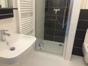 Pronájem bytu 1+kk, Praha - Dejvice, Lindleyova, 32 m2