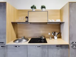 Pronájem bytu 1+1, Praha - Dejvice, Pod kaštany, 37 m2