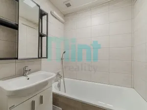Pronájem bytu 1+1, Ostrava, Mariánskohorská, 36 m2