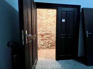 Pronájem bytu 1+kk, Brno, Bašty, 34 m2