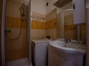 Pronájem bytu 2+1, Brno, Družstevní, 54 m2