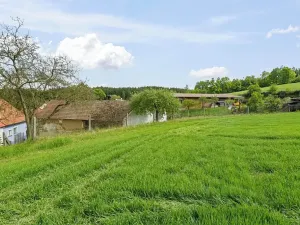 Prodej chalupy, Řemíčov, 92 m2