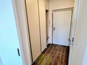 Pronájem bytu 1+kk, Olomouc, Wolkerova, 34 m2