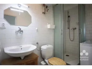 Pronájem bytu 1+kk, Praha - Karlín, Šaldova, 25 m2