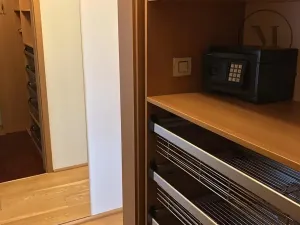 Pronájem bytu 3+kk, České Budějovice, Branišovská, 140 m2