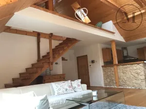 Pronájem bytu 3+kk, České Budějovice, Branišovská, 140 m2