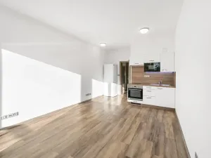 Pronájem bytu 1+kk, Plzeň - Severní Předměstí, Bolevecká, 37 m2