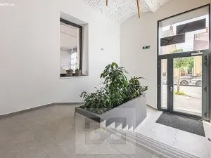 Pronájem bytu 1+kk, Hradec Králové, Pražská třída, 25 m2