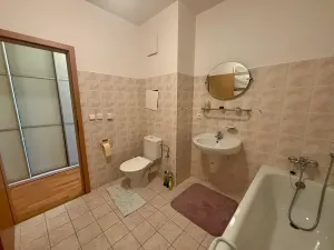 Pronájem bytu 1+kk, Praha - Motol, Jeřabinová, 43 m2