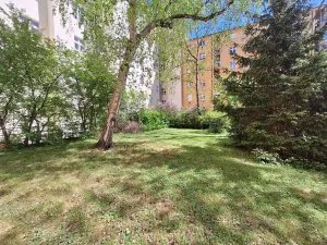 Pronájem pokoje, Praha - Vinohrady, Písecká, 21 m2