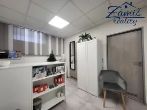 Pronájem kanceláře, Kladno, Slánská, 20 m2
