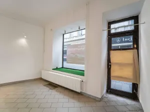 Prodej obchodního prostoru, Přerov, Wilsonova, 265 m2