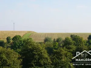 Prodej zahrady, Pašinka, 379 m2