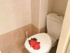 Pronájem bytu 1+1, Praha, V předpolí, 43 m2