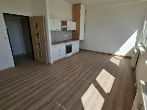 Pronájem bytu 2+kk, Mlékojedy, 50 m2