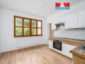 Pronájem bytu 1+1, Chlumec, Ústecká, 50 m2