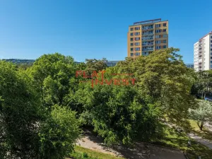 Prodej bytu 2+1, Praha - Kobylisy, Paláskova, 56 m2
