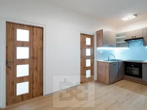 Pronájem bytu 2+1, Praha - Žižkov, Jana Želivského, 63 m2