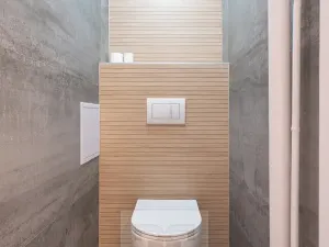 Pronájem bytu 2+1, Praha - Žižkov, Jana Želivského, 63 m2