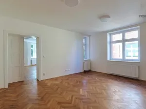 Pronájem bytu 3+1, Brno, Lerchova, 132 m2
