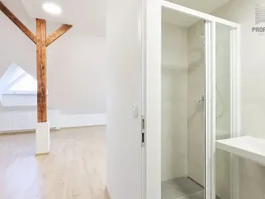 Pronájem bytu 2+kk, Brno, Lerchova, 68 m2