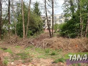 Prodej pozemku pro bydlení, Mladějov, 2297 m2