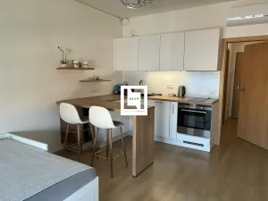 Pronájem bytu 1+kk, Olomouc, Edmunda Husserla, 33 m2
