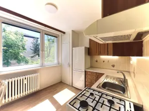 Pronájem bytu 1+1, Napajedla, Nábřeží, 33 m2