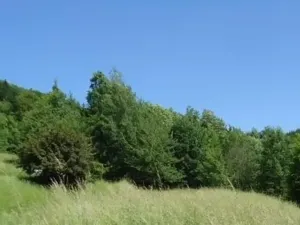 Prodej louky, Vojnův Městec, 9000 m2