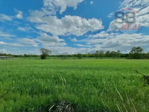 Prodej pozemku pro bydlení, Radonice, 1301 m2