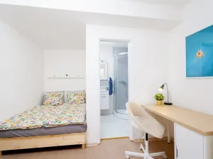 Prodej bytu 1+kk, Praha - Krč, Čerčanská, 20 m2