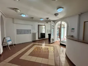 Pronájem obchodního prostoru, Teplice, Školní, 441 m2