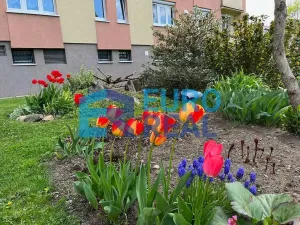 Pronájem bytu 2+1, Praha - Modřany, U zastávky, 55 m2