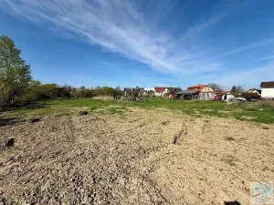 Prodej komerčního pozemku, Brumovice, 2894 m2