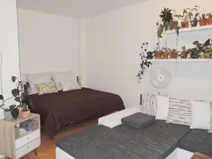 Pronájem bytu 1+kk, Brno, Příční, 42 m2